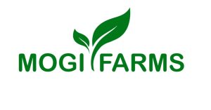MOGI LOGO 300x157