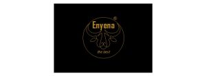 ENYENA LOGO 300x111