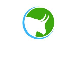 Screenshot 20241108 111544 edit 156607721692769 300x244